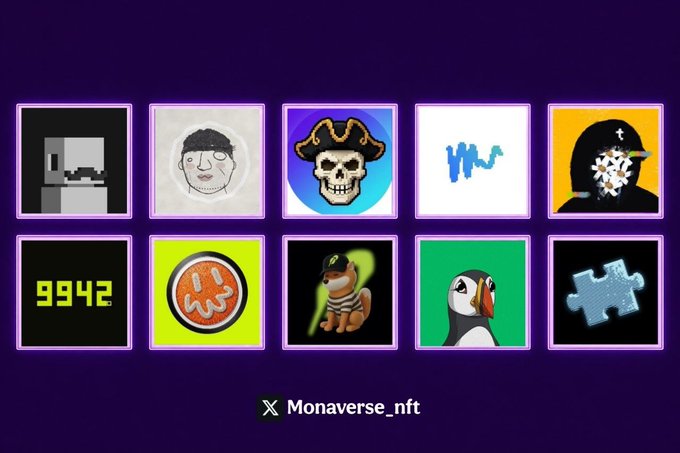Grid of NFT artwork thumbnails displayed on a purple background for 'Monaverse_nft', including pixel art, drawings of a skull, dog, puffin, puzzle piece, and the number 9942.
