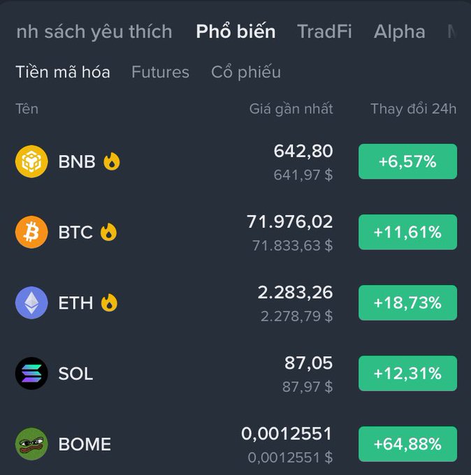 A cryptocurrency market listing in Vietnamese showing prices and 24-hour changes for BNB (+6.57%), BTC (+11.61%), ETH (+18.73%), SOL (+12.31%), and BOME (+64.88%).