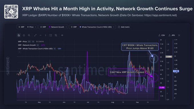 A Santiment chart titled "XRP Whales Hit a Month High in Activity, Network Growth Continues Surge" displays XRP Ledger (XRP) price at $1.60, network growth at 24%, and a surge of 1,917 $100K+ whale transactions alongside 3,647 new XRP wallets created, visually reinforcing the post's claim of a price breakout above $1.60 paired with a month-high in whale activity.