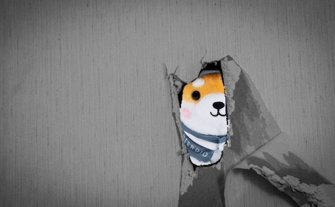A plush Shiba Inu dog toy with the word 'ASTER' visible on its clothing peeks through a torn hole in grey wallpaper.