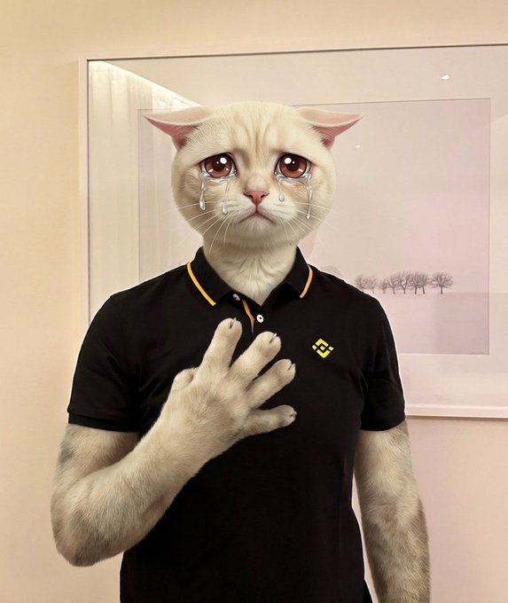 Digital artwork of a humanoid figure with a crying cat head wearing a black polo shirt, holding up a furry cat paw against its chest.