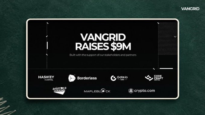 An announcement graphic states "VANGRID RAISES $9M - Built with the support of our stakeholders and partners," listing backers including HashKey Capital, Borderless, Gate.io, Code Craft, Animoca Brands, Mapleblock, and Crypto.com.