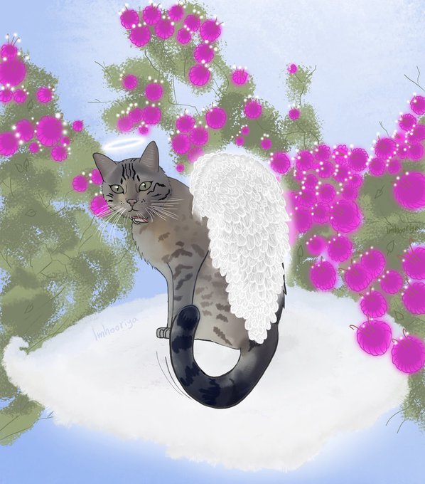 A tabby cat angel with white feathered wings and a halo sits on a cloud surrounded by bright pink cherry blossoms, with the artist's signature "Imhoercyo" visible in the lower portion. The whimsical illustration complements the post celebrating art sales, matching the heavenly, artistic theme of the sold pieces "Suki" and "Grace."