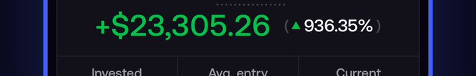 A user shares their impressive portfolio performance, displaying a green gain of +$23,305.26 with a 936.35% increase, aligning with their boastful claim of being "skilled" with their investments.