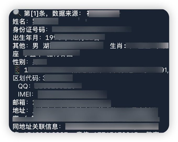 A screenshot of a Chinese data record interface showing partially redacted personal information fields including name (姓名), ID number (身份证号码), birth date (出生年月), gender (性别), QQ, IMEI, email (邮箱), and address (地址).