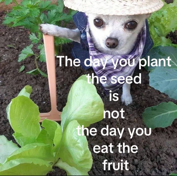 Meme featuring a small dog wearing a straw hat and plaid shirt holding a garden hoe next to a lettuce plant, with text 'The day you plant the seed is not the day you eat the fruit'.