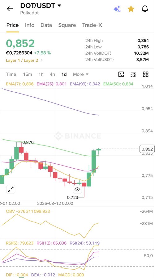 A Binance trading chart shows the DOT/USDT (Polkadot) price at 0.852, up 7.58%, with 24h high/low of 0.854/0.786 and various technical indicators including EMA, OBV, RSI, and MACD.