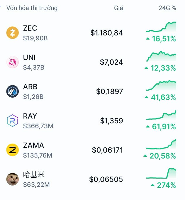 A cryptocurrency market tracking interface in Vietnamese showing 24-hour price gains for ZEC ($1,180.84, +16.51%), UNI ($7.024, +12.33%), ARB ($0.1897, +41.63%), RAY ($1.359, +61.91%), ZAMA ($0.06171, +20.58%), and 哈基米 ($0.06505, +274%).