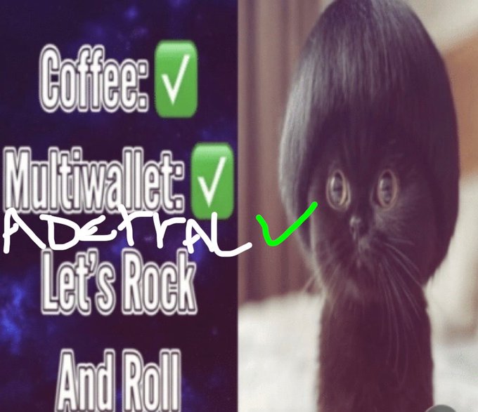 A meme image featuring a wide-eyed cat alongside a checklist reading 'Coffee: ✓, Multiwallet: ✓, Let's Rock And Roll' with 'ADETRAL' handwritten and a green checkmark added in white text.