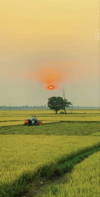 A vertical video frame showing a tractor working in a vast green field under a hazy, orange-tinted sky with a sun halo, with an 'A' logo watermark in the top right corner.