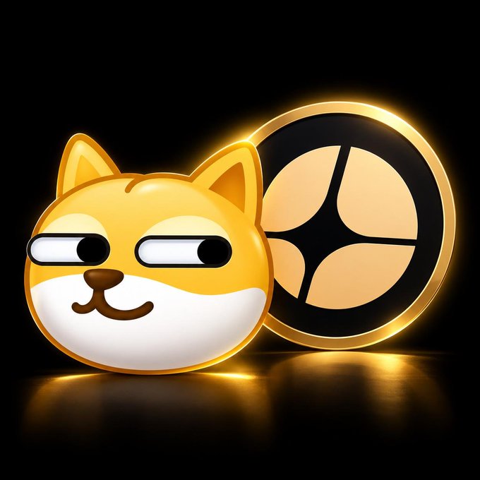 A 3D rendered Shiba Inu-style orange dog emoji face with a smug sideways glance sits beside a glowing golden circular emblem on a black reflective background. The image serves as a visual symbol for the post's message about not overlooking Chinese memecoin runners on the BNB Chain, with the dog's confident expression embodying the "rule" of paying attention to these trending tokens.