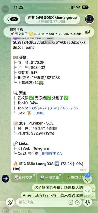 A Telegram group chat screenshot from "西湖公园 998X Meme group" displays a pinned message about a BSC/Pancake V2 coin "币安太子" with key stats including a 173.2K market cap, 547 holders, and a 19% liquidity flow, with users discussing Plumber SOL token and mentioning "Loong998" as the first buyer. The accompanying post context explains the group focuses on researching Solana meme tokens like Plumber, with members including veterans from the previous cycle who invested 4 SOL into the A7 project.
