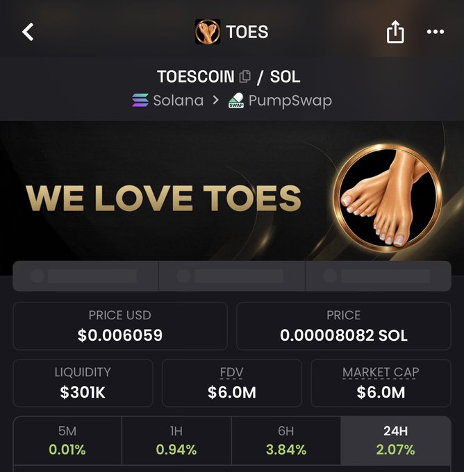 A screenshot of a cryptocurrency tracking app displaying token details for $TOESCOIN on the Solana blockchain via PumpSwap, with the tagline "WE LOVE TOES" alongside an illustration of feet, showing a price of $0.006059 (0.000008082 SOL), $301K liquidity, and a $6.0M market cap with modest gains across all timeframes.