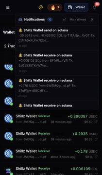 The image shows a phone screen displaying information about various wallets that are being tracked by the user. The wallet tracking app provides notifications for each wallet, allowing the user to stay informed about their transactions or balances across multiple accounts. However, not all activities of the user's added wallets were successfully tracked in the app. Additionally, there is an option to filter out specific types of transactions from the list displayed on the screen.