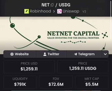 A NET/USDG token trading pair displayed on a NetNet Capital page showing price $1,259.11, liquidity $791K, FDV $72.6M, and market cap $5.5M.