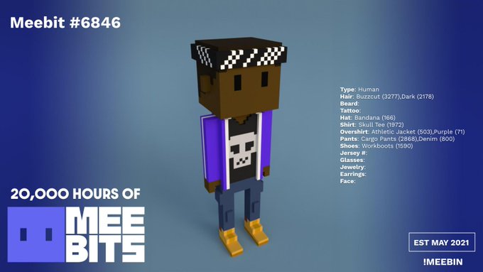 A Meebits NFT (#6846) showcase featuring a blocky 3D character with pixelated sunglasses, purple shirt with skull design, blue pants, and yellow shoes, labeled 'EST MAY 2021' and '20,000 HOURS OF MEEBITS'.