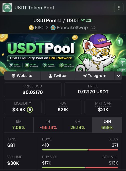 A cryptocurrency page for USDT Token Pool on PancakeSwap V2 (BSC), showing a price of $0.02170, liquidity of $3.9K, and 24H change of 559%.