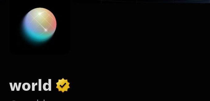 A dark-themed profile with the username 'world' featuring a verified checkmark, accompanied by a colorful iridescent sphere avatar.
