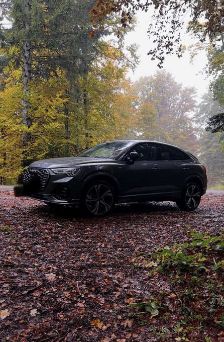 A dark-colored Audi SUV parked on a bed of fallen autumn leaves in a misty forest setting.