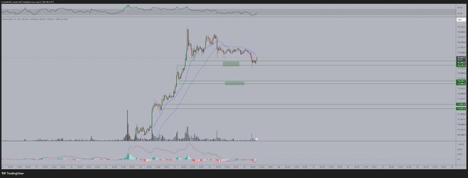 A BTC/USD technical analysis chart shows price approaching or rejecting near-term resistance around $78,000, with volume and momentum indicators below. It outlines two scenarios: a clean resistance break toward $81,000, or a rejection and retracement/sweep near $74,000 before a later move to $81,000.