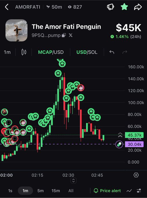 A mobile screenshot of the Pump.fun trading chart for "The Amor Fati Penguin" (ticker $AMORFATI), showing a market cap of $45K with a 1.4% gain over 24 hours, where the price spiked above $160K before crashing back down to ~$45K with the current price highlighted at 45.37K USD/SOL. The chart illustrates the post's warning about high-risk memecoins on Solana, visually demonstrating the volatile, rug-pull-style price action that justifies the advice to only invest small test amounts.