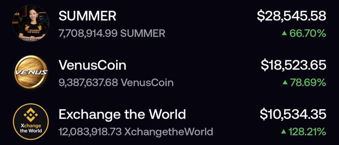 A screenshot of a crypto portfolio tracker displaying holdings for SUMMER ($28,545.58, up 66.70%), VenusCoin ($18,523.65, up 78.69%), and Exchange the World ($10,534.35, up 128.21%), with token amounts of 7,708,914.99, 9,387,637.68, and 12,083,918.73 respectively. The image illustrates the author's gains across these three altcoins (SUMMER, VenusCoin, and XchangetheWorld) that they discuss as packed bags with bullish catalysts.