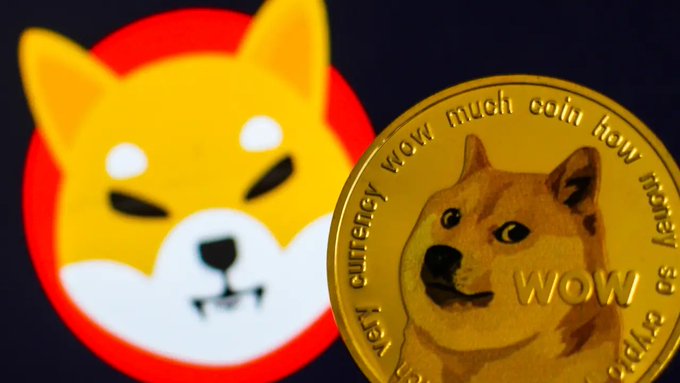 A close-up image of two Shiba Inu dog symbols: the iconic Shiba Inu meme logo on a red circle and a physical 'Dogecoin' commemorative coin featuring the 'wow much coin' meme text.