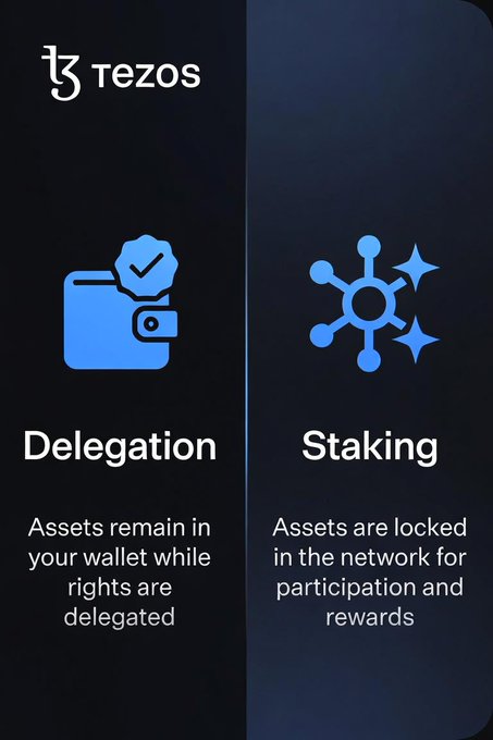 An educational graphic from Tezos explaining the difference between 'Delegation' (assets remain in your wallet while rights are delegated) and 'Staking' (assets are locked in the network for participation and rewards).