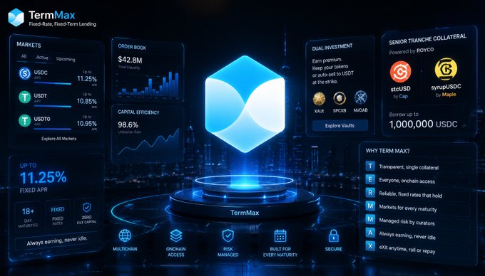 A promotional dashboard for 'TermMax' displays a fixed-rate, fixed-term lending platform with markets (USDC, USDT, USDT0), an order book of $42.8M, 98.6% capital efficiency, up to 11.25% fixed APR, dual investment options, senior tranche collateral up to 1,000,000 USDC, and features like 'Transparent, single collateral' and 'Everyone, onchain access.'