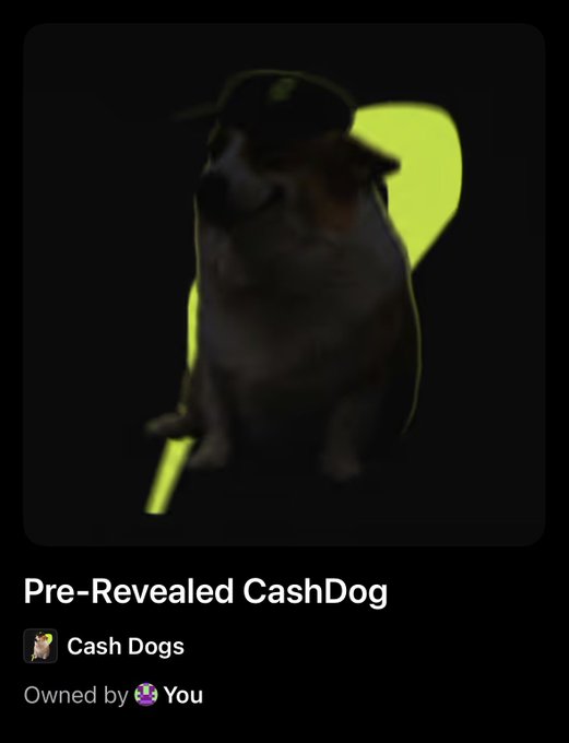 A dark NFT image showing a chubby cat wearing a cap, labeled 'Pre-Revealed CashDog' from the 'Cash Dogs' collection, noted as 'Owned by You'.
