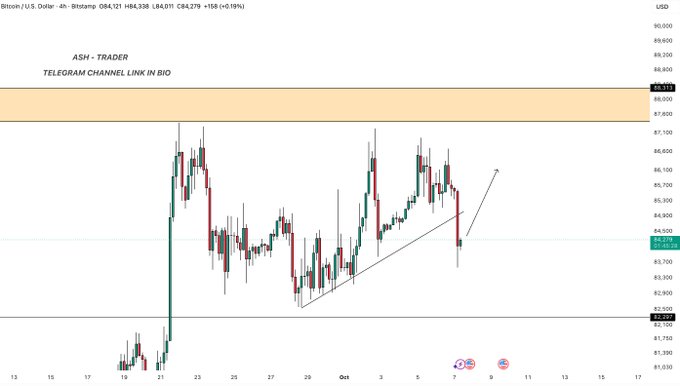 A Bitcoin/U.S. Dollar 4-hour trading chart labeled 'ASH - TRADER' showing price action between approximately $82,500 and $89,011, with a Telegram channel link promotion.