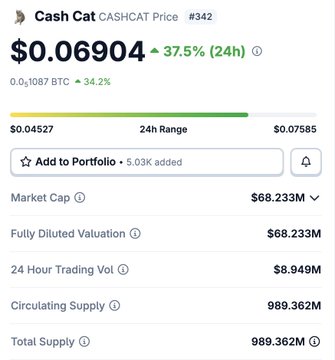 A crypto price tracker screen showing Cash Cat (CASHCAT) priced at $0.06904, up 37.5% in 24 hours, with a market cap of $68.233M and circulating supply of 989.362M.