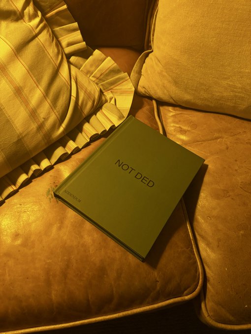 A book titled "NOT DED" by DEDSECUN sits on a brown leather couch next to striped pillows under warm yellow lighting.