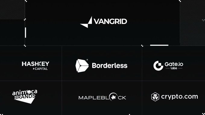 A black background displaying the 'VANGRID' logo at the top, followed by a grid of partner logos including HASHKEY CAPITAL, Borderless, Gate.io Labs, animoca BRANDS, MAPLEBLOCK, and crypto.com.