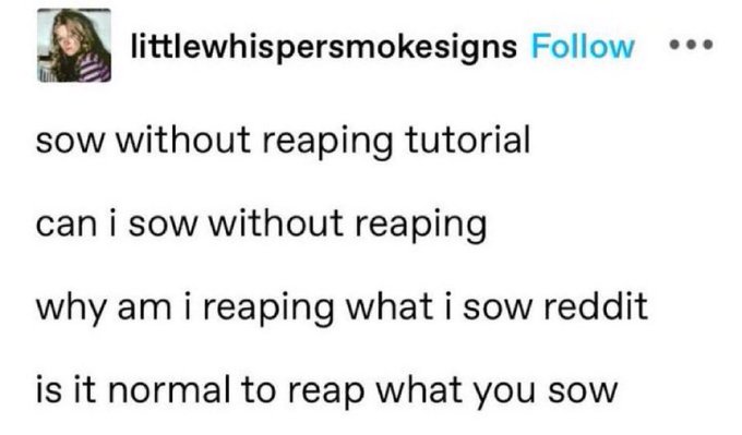 A Tumblr post from user 'littlewhispersmokesigns' jokingly lists increasingly desperate search queries: 'sow without reaping tutorial,' 'can i sow without reaping,' 'why am i reaping what i sow reddit,' and 'is it normal to reap what you sow.'