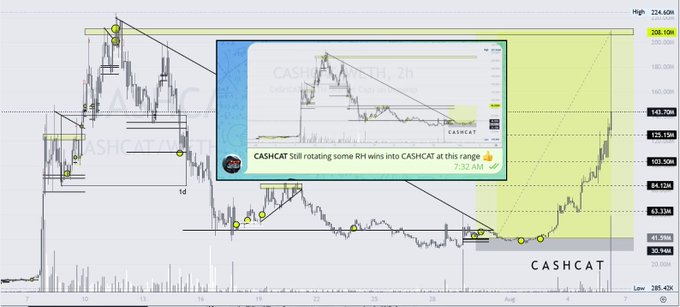 A financial chart for the CASHCAT cryptocurrency shows technical analysis patterns, with a Telegram chat overlay announcing 'CASHCAT Still rotating some RH wins into CASHCAT at this range'.