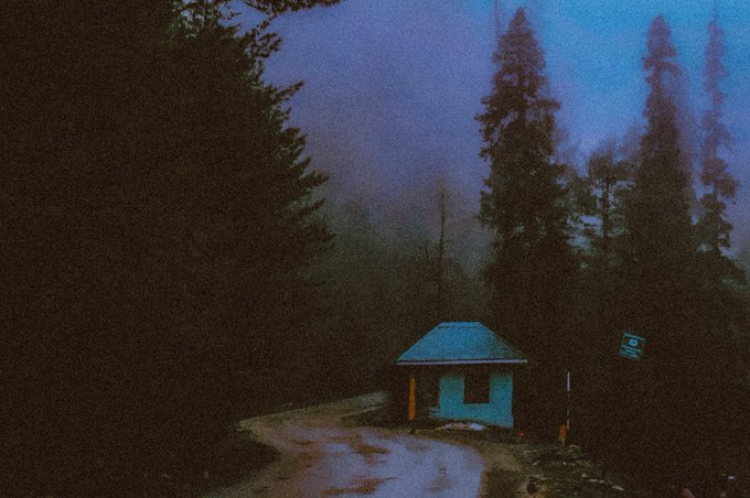 A small, isolated cabin with a glowing teal roof sits at the end of a winding dirt road, swallowed by dense fog and surrounded by towering, shadowy evergreens. The eerie, atmospheric scene captures the haunting solitude described in the post, evoking a sense of forgotten memories lingering in the mist.