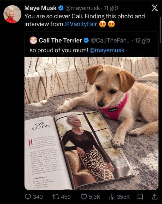 A screenshot of a tweet from Maye Musk (@mayemusk) responding to a fan account @CaliTheTerrier that features a small tan dog with a pink harness lying next to an open Vanity Fair magazine displaying a "MAYE IN AUTUMN" article and photo of Maye Musk. The post by Maye Musk compliments "Cali" for finding the Vanity Fair photo and interview, tying into the accompanying commentary about the $CALI memecoin on the SOL chain.