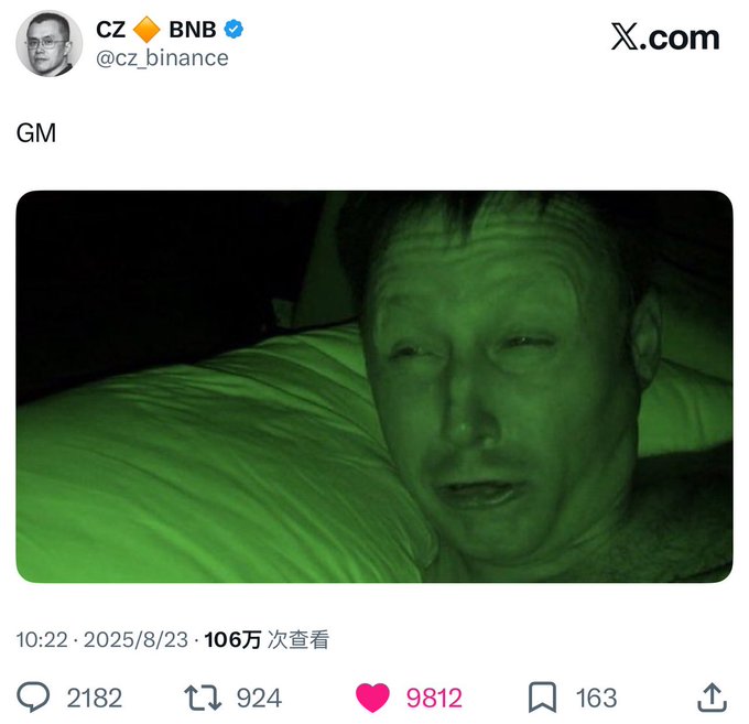 A tweet from CZ BNB (@cz_binance) simply says 'GM' and features a green night-vision photo of Elon Musk.