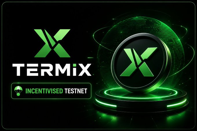 A promotional banner for 'TERMIX' featuring a green X logo on a circular emblem with a glowing green globe background, advertising an 'INCENTIVISED TESTNET.'