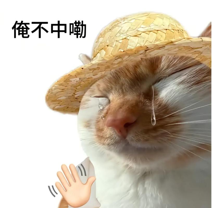 A crying orange and white cat wearing a straw hat waves a hand in refusal, with Chinese text reading "俺不中嘞" (meaning "I can't/won't do it"), humorously conveying the poster's rejection of the @orynth platform despite its requirements for real products and verified accounts, since it fails to prevent identity-verified rug pulls like the $C1mg2ddme7... token.