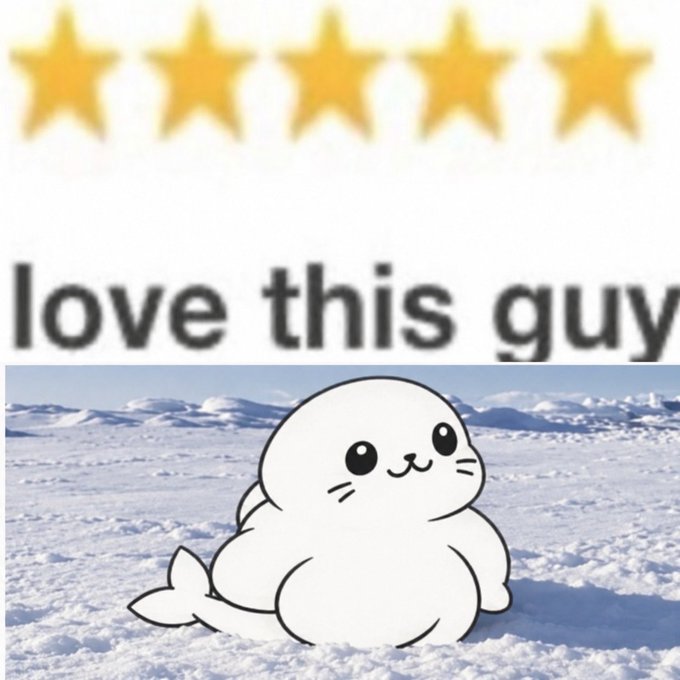A meme image featuring a 5-star review with the text 'love this guy' above a cute, cartoon-style white seal-like creature sitting in the snow.