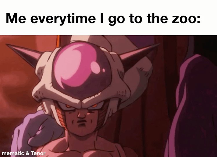 The image features a cartoon character wearing a pink helmet with a large ball at the top of its head. The character appears to be a dragon or a similar creature, with sharp teeth and claws. In front of the character, there's a caption that reads "Me everytime I go to the zoo". The caption also includes an image of the character in action, possibly preparing for a fight or attack.