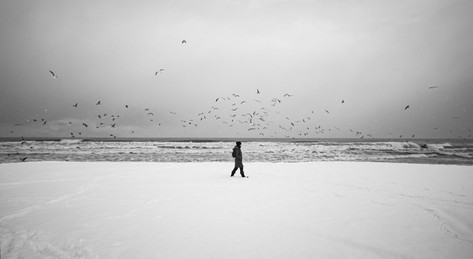 A black and white photograph showing a lone figure standing on a wide, sandy beach while a large flock of birds flies overhead against an overcast sky.