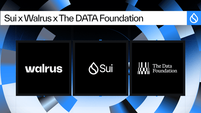 A promotional banner showing logos for 'walrus', 'Sui', and 'The Data Foundation' with the title 'Sui x Walrus x The DATA Foundation'.
