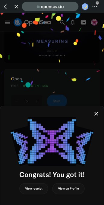 A screenshot of OpenSea.io showing a successful minting message 'Congrats! You got it!' with a pixelated blue and purple NFT design.