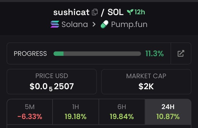 A crypto tracking dashboard for the token 'sushicat' on the Solana blockchain via Pump.fun, showing 11.3% bonding curve progress, a $2K market cap, and a price of $0.0₅2507.