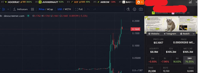 A trading chart on dex screener showing a token with a price of 0.1667, liquidity of $8.9M, and a 5-minute price change of -0.93% next to a picture of a shocked cat meme.
