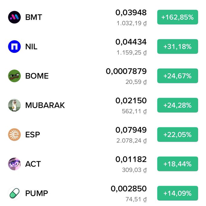 A cryptocurrency market list showing top gainers including BMT (+162,85%), NIL (+31,18%), BOME (+24,67%), MUBARAK (+24,28%), ESP (+22,05%), ACT (+18,44%), and PUMP (+14,09%) with their respective prices.