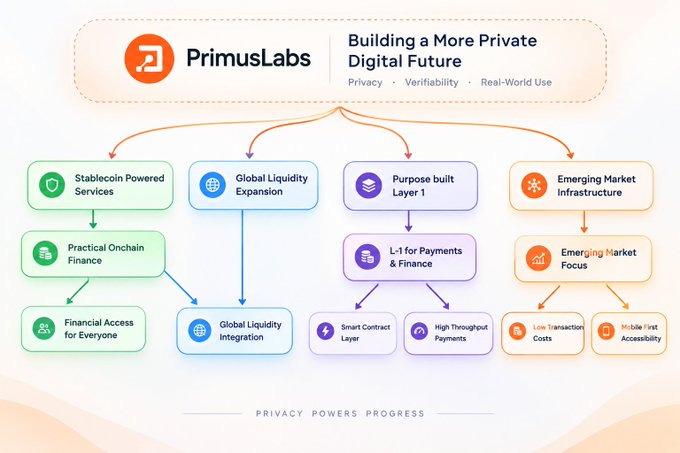 Infographic for PrimusLabs titled 'Building a More Private Digital Future' with the tagline 'Privacy Powers Progress', displaying four pillars: Stablecoin Powered Services (Practical Onchain Finance, Financial Access for Everyone), Global Liquidity Expansion (Global Liquidity Integration), Purpose built Layer 1 (L-1 for Payments & Finance, Smart Contract Layer, High Throughput Payments), and Emerging Market Infrastructure (Low Transaction Costs, Mobile-First Accessibility).